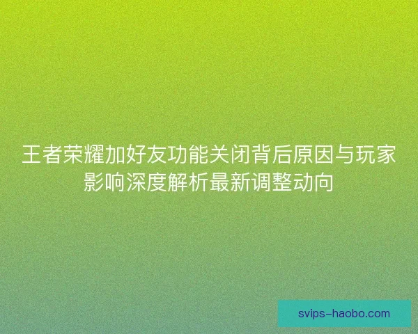 王者荣耀加好友功能关闭背后原因与玩家影响深度解析最新调整动向